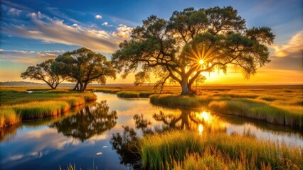 Serene sunrise over tranquil marshlands, with golden light casting shadows on twisted oak trees, in a peaceful coastal Georgia nature reserve.