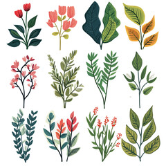 Vintage vector botanical illustration, Set, Autumn flowers, berry and leaves, Colorful