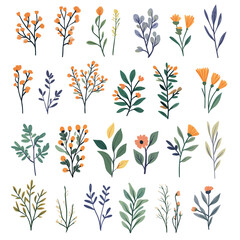 Vintage vector botanical illustration, Set, Autumn flowers, berry and leaves, Colorful