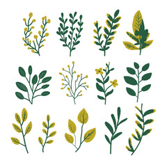 Vintage vector botanical illustration, Set, Autumn flowers, berry and leaves, Colorful