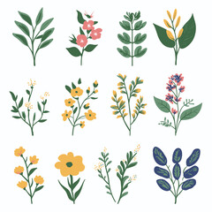 Vintage vector botanical illustration, Set, Autumn flowers, berry and leaves, Colorful