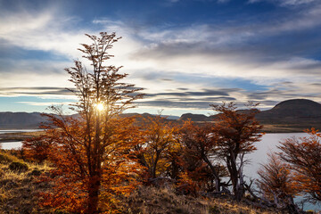 Autumn in Perito Moreno