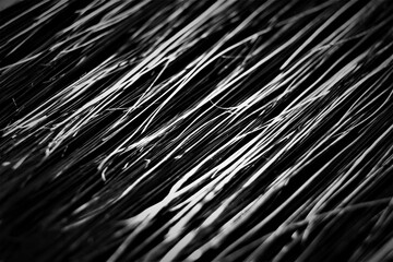 Details of the bristles of brush close up. Black and white photo.