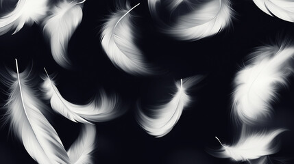 Flying white bird feathers on black background in smoke with blurring effect. Plumage wild animal, birds elements. Stylish decorative background