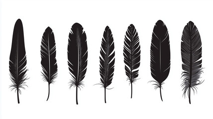 Black feathers icons on white background. Bird feather, plumage, decorative boho style. Wild nature and wildlife
