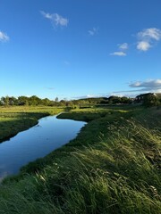 landscape with river