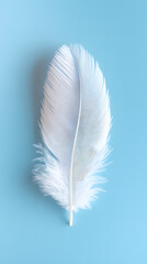 Naklejka premium White fluffy bird feather on sky blue background