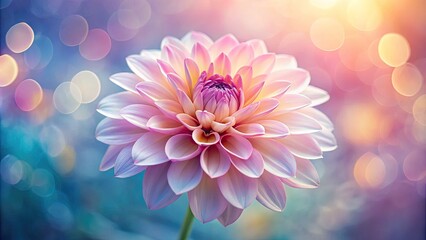 Fototapeta premium Delicate petals unfolding from a vibrant flower against a soft, blurred, and seamless background, creating a sense of natural harmony and serenity.
