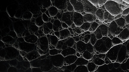 Obraz premium Black background with white veins, a delicate and complex pattern of biological cells, in the style of macro photography.