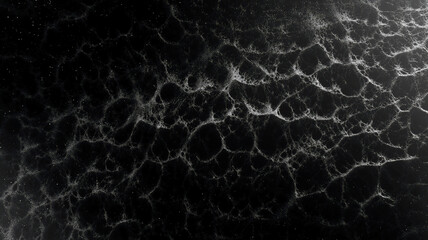 Black background with white veins, a delicate and complex pattern of biological cells, in the style of macro photography.