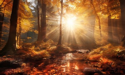 Fototapeta premium forest with stream water surrounded by trees