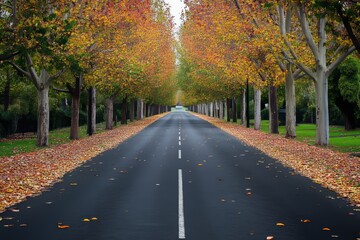 With autumn foliage at Mount Macedon, Victoria, Honours Avenue stands empty.