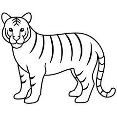 Tiger Wild Animal Style Vector Line Art Illustration.