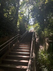 Obraz premium stairway to heaven