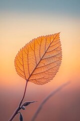 Fototapeta premium Background of autumn nature with oak leaves and dry grass. Seasonal landscape for fall.
