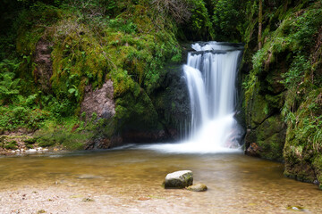 Obraz premium waterfall in the woods