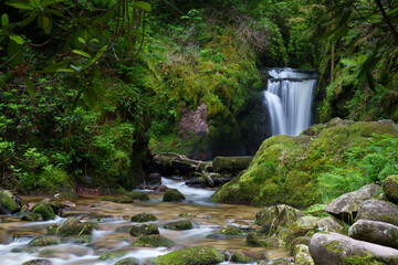 Waterfall in the forest with mossy Rocks