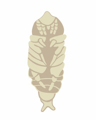 Vector isolated illustration of a roach larva on a white background.