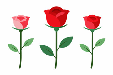 4 Rose Blossom Vector Illustrations on White Background