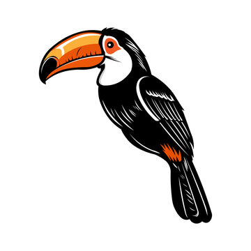 recommend clip art: toucan isolated on white background