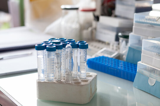 scientific research, tubes on a glass table in scientific laboratory