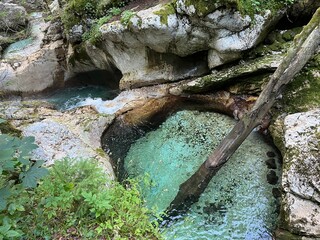Sunik water grove or waterfalls on the Lepenca stream (Bovec, Slovenia) - Der Sunik-Wasserhain oder Wasserfälle am Bach Lepenca (Slowenien) - Šunikov vodni gaj v Lepeni (Slovenija) © Mario