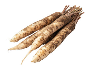 Fresh burdock roots with dirt, laid out on a white isolated PNG cutout transparent background.