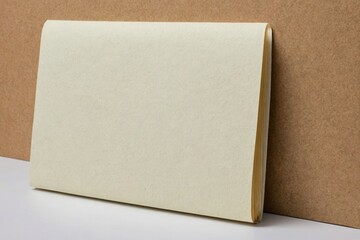 Fototapeta premium Old folder for papers isolated on white background