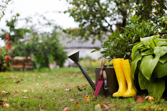 garden tools