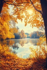 Fall landscape with dry trees, golden sky, tree reflected in lake, season change, sunny day, autumnal park, fall foliage.