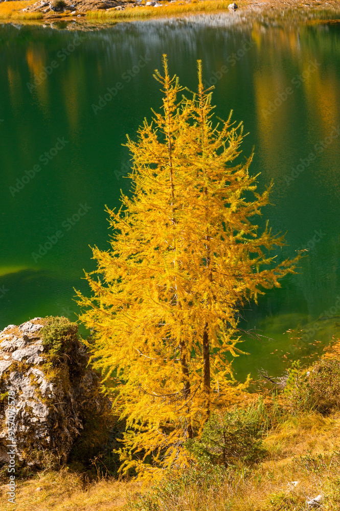 Canvas Prints lac federa