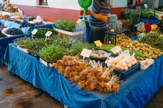 Salesman watering plants on a market