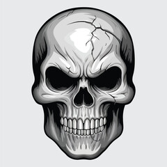 Obraz premium Human skull face isolated on white background.