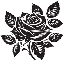 Rose vector art and illustration