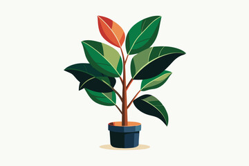 Elegant Rubber Plant vector illustration on white background.