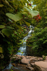 waterfall in the forest