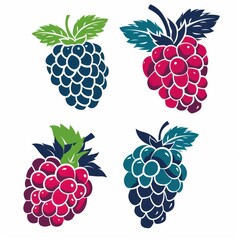 Vector illustration icon of rasberry