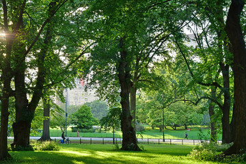 New York, USA - septembre 9 2023 : Central Park