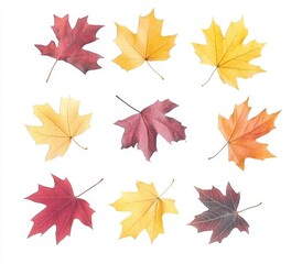 Red autumn leaves on a spiraling flying heap of maple trees isolated in transparent