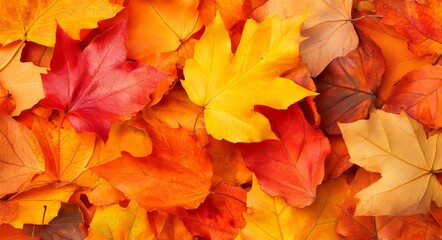 Falling leaves on a natural background. Autumn season concept.