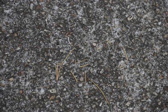 asphalt texture 