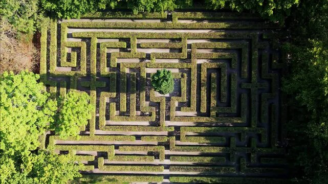 View of the maze in the park