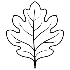 Minimalist Vector of a Large Oak Leaf with Veins