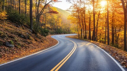 Fototapeta premium In autumn, a narrow road is surrounded by yellowing plants under a cloudy sky. Stock