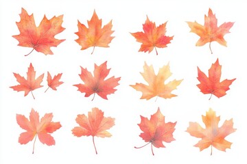 The collection of autumn leaves is isolated on a transparent background