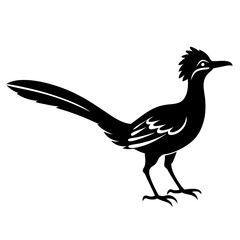 Fototapeta premium Roadrunner Silhouette Vector Design