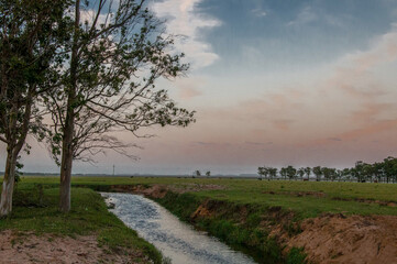 river  in the field , sunrise