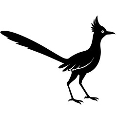Roadrunner Silhouette Vector Design