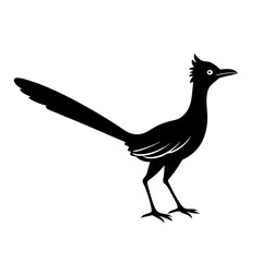 Roadrunner Silhouette Vector Design