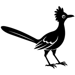 Roadrunner Silhouette Vector Design